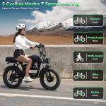 Tamobyke T73ProMax 3000W Moped Style Ebike