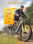 Jasion Thunder 1800W Fat Tire Electric Bike