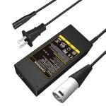 Futurebatt 42V 2A Electric Bike Battery Charger