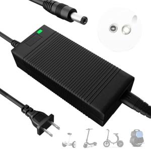 Fast Electric Bike Charger for 48V Batteries