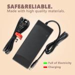 54.6V 2A Fast Charger for 48V Ebikes