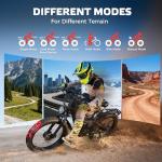 EcoE 6000W All-Terrain Dual Motor Electric Bike