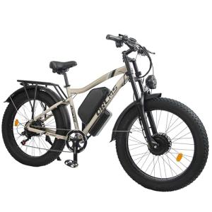 Powerful Dual Motor Electric Bike for Adults