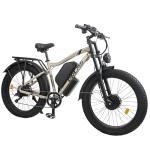 Powerful Dual Motor Electric Bike for Adults