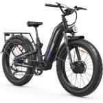 FREESKY 3500W Dual Motor Electric Mountain Bike