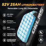 Powerful Dual Motor Electric Bike for Adults