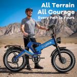 3000W Dual Motor Folding Electric Bike for Adults