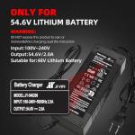 54.6V 3A Charger for 48V Electric Bikes