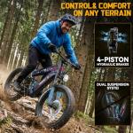 FREESKY High-Power Dual Battery Electric Bike 160 Miles