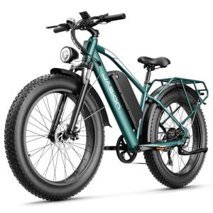 Jasion EB5 MAX Electric Mountain Bike 2000W