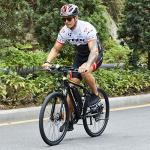 750W ANCHEER Electric Mountain Bike for Adults