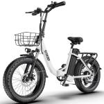 GOKEEP 20" Folding Fat Tire Electric Bike