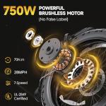 GOKEEP 20" Folding Fat Tire Electric Bike