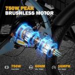 Qlife Triker Folding Electric Trike with 750W Motor