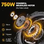 GOKEEP Folding Electric Bike with 1300W Motor