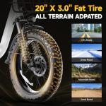 GOKEEP 20" Folding Fat Tire Electric Bike