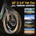 GOKEEP Folding Electric Bike with 1300W Motor