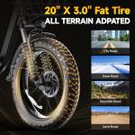 GOKEEP 20" Folding Electric Bike with Fat Tires