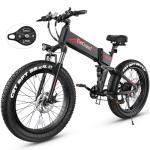 Wooken Folding Electric Bike for Adults 750W