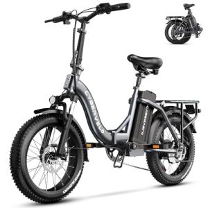 1000W Folding Electric Bike with Removable Battery