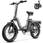 1000W Folding Electric Bike with Removable Battery