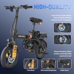 RPINT Folding Electric Bike for Adults and Teens