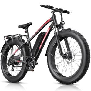 Funhang 1000W Electric Mountain Bike for Adults