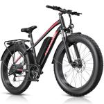 Funhang 1000W Electric Mountain Bike for Adults