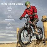TotGuard 1000W Fat Tire Electric Mountain Bike