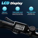 1000W Folding Electric Bike with 80-Mile Range