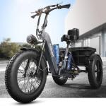Adult Electric Tricycle with Removable Battery and Basket