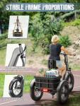 Adult Electric Tricycle with Removable Battery and Basket