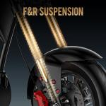 eAhora M1P 2000W Electric Trike for Adults