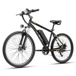 Jasion EB5 1000W Electric Mountain Bike for Adults