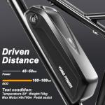 YS YOSE POWER 48V Ebike Battery for Rad Bikes