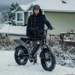 Jasion Electric Bike with 48V 13Ah Battery