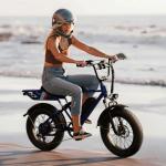 Jasion Electric Bike with 48V 13Ah Battery