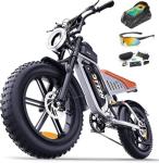 DTTZH F6S 2000W Electric Bike for Adults