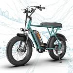 Tamobyke T63 Multi-Color 1000W Electric Bike