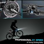 Vivi 1000W Electric Mountain Bike for Adults