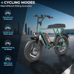 Tamobyke T63 Multi-Color 1000W Electric Bike