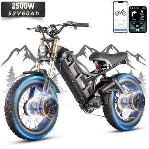 eAhora Romeo 2 Dual Motor Electric Bike 200 Mile Range