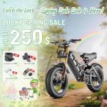 eAhora Romeo 2 Dual Motor Electric Bike 200 Mile Range