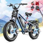 eAhora Terra II Electric Bike - 3000W Dual Motor