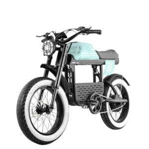 eAhora DL2000 Electric Bike with Dual Motors