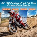 eAhora Romeo Pro 2 Dual Motor Electric Bike