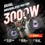 eAhora Terra II 3000W Dual Motor Electric Bike