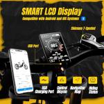 eAhora Juliet Pro 2 Electric Bike 5400W 200+ Miles