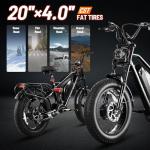 eAhora Terra II 3000W Dual Motor Electric Bike