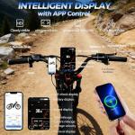 eAhora Romeo 2: Powerful 40MPH Dual Motor Ebike